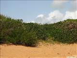 Colorá Beach - FAJARDO